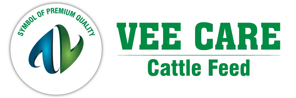 logo4